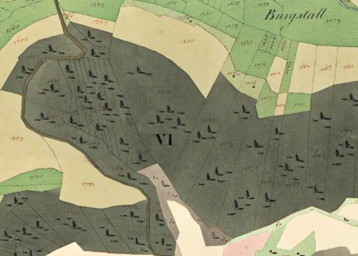Burgstall, bewaldetes Gebiet